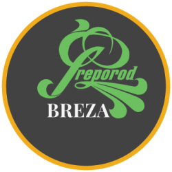 BZK Preporod Breza